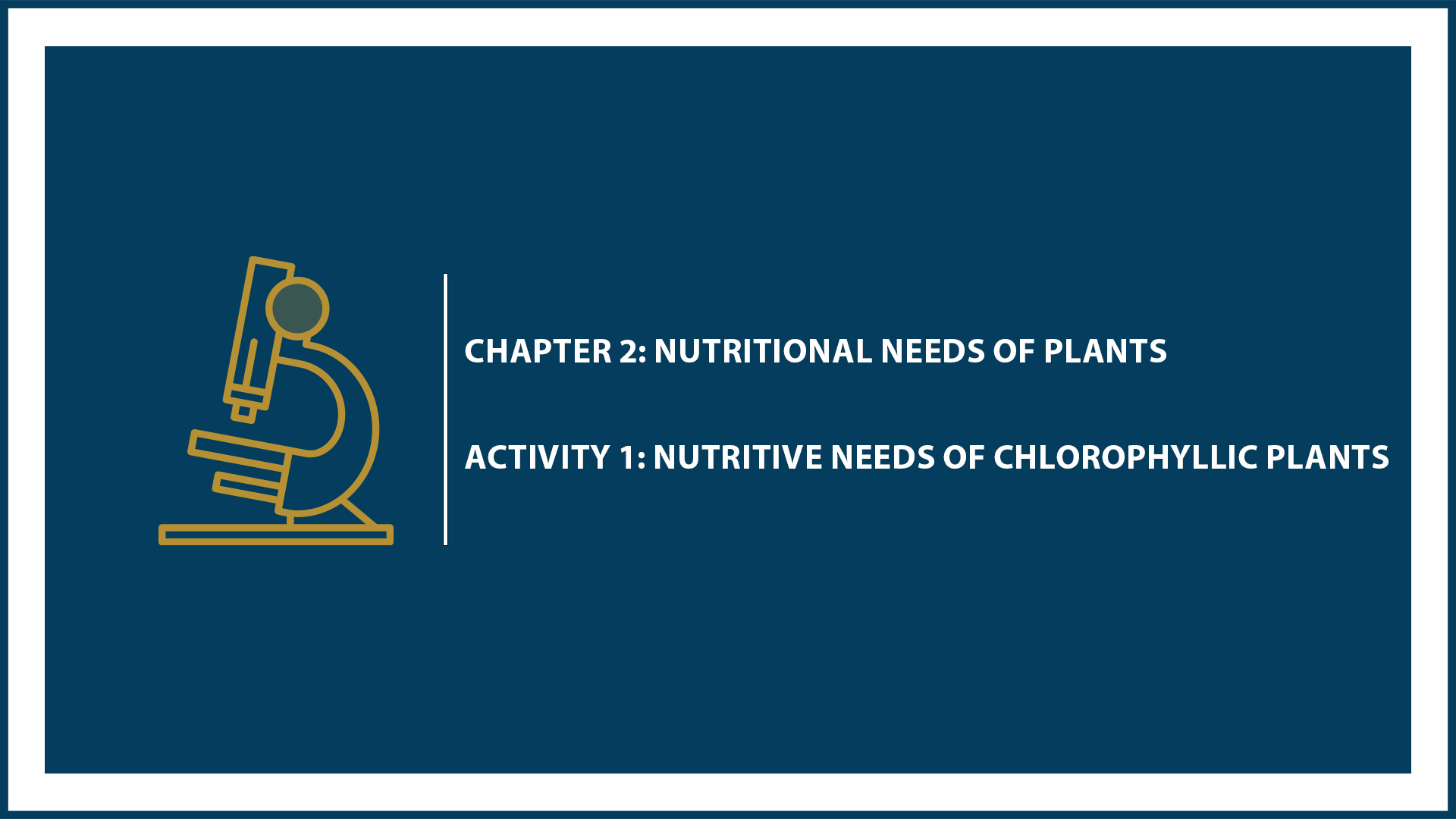 Chapter 2: Activity 1: Nutritive Needs of Chlorophyllic Plants